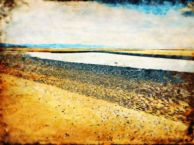背景,绘画插图,海滩,水彩画,水彩画颜料,涂料,自制的,艺术品,乡村风格,夏天
