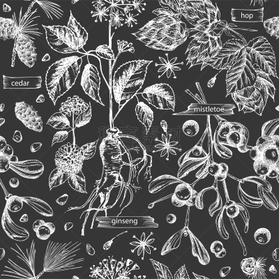 草本,黑板,雪松,四方连续纹样,榭寄生,草图,背景,草药,人参,跳