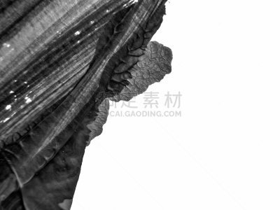 丙稀画,背景,纹理,黑色,白色