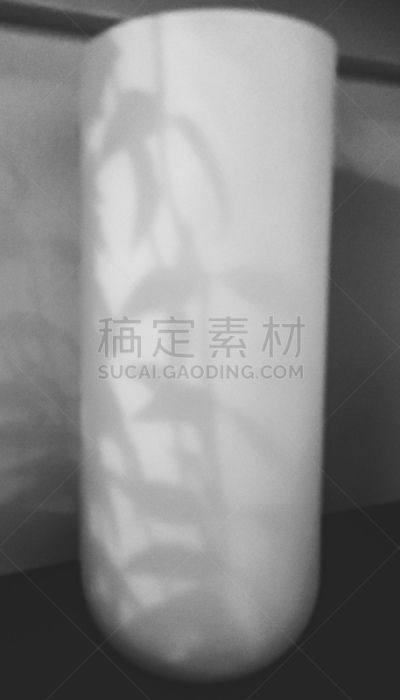 白色,叶子,阴影,花瓶,黄昏,高大的,暗色,清新,曙暮光,灰色
