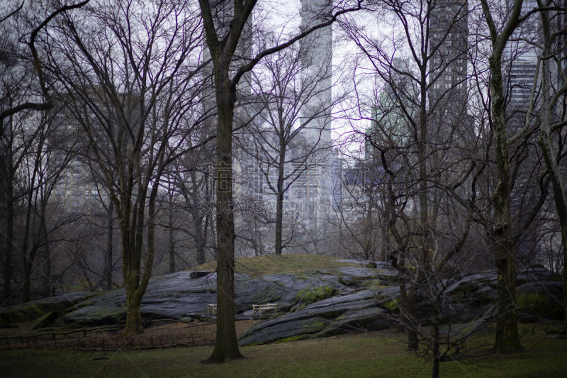 建筑外部,花蕾,中央公园,都市风景,岩石,现代,过去,纽约,公园,草