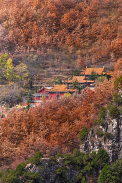 寺庙,山,环境,公园,著名景点,中国,植物,背景,岩石,户外
