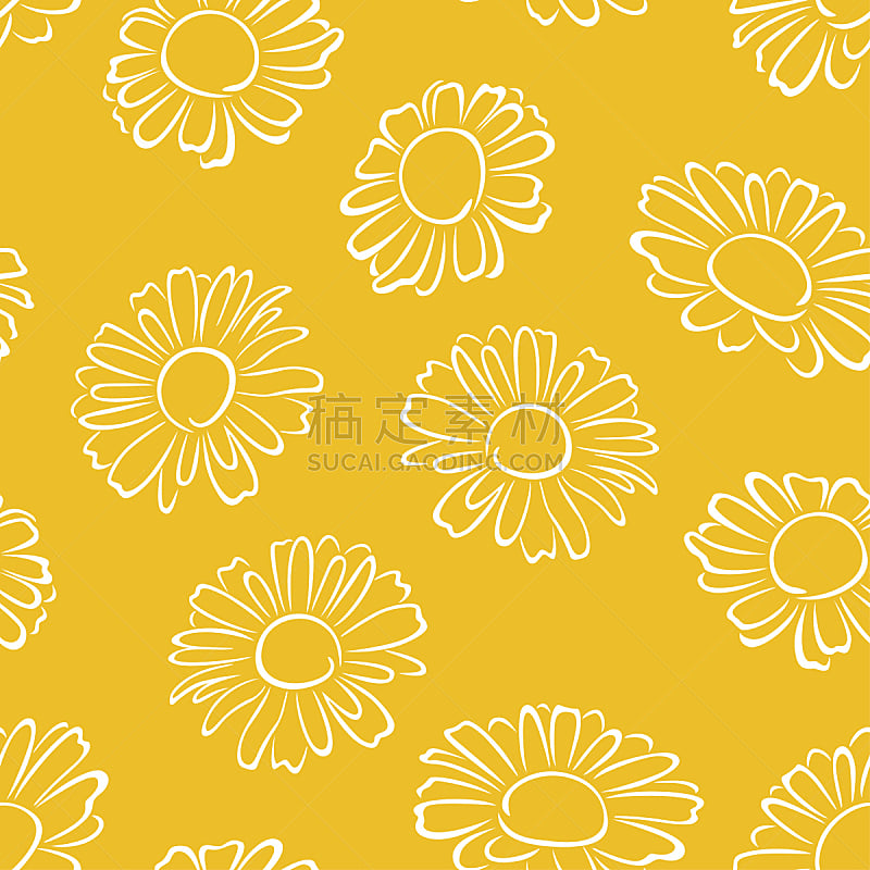 雏菊,花,甘菊,矢量,单色调,四方连续纹样,简单,绘画插图,轮廓,花