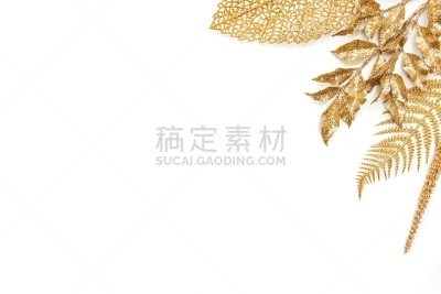 白色背景,多样,留白,黄金,叶子,在上面,华丽的,背景分离