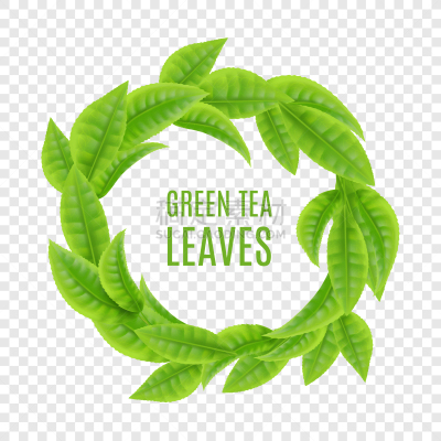 边框,茶叶,背景,花环,绿色,分离着色,透明