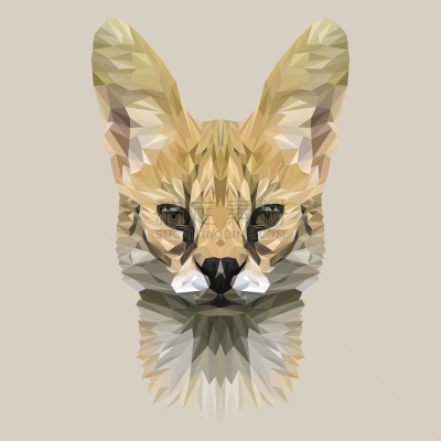 低多边形效果 ,绘画插图,矢量,式样,三角形,动物,野生猫科动物,狗狗障碍赛,动物学,艺术