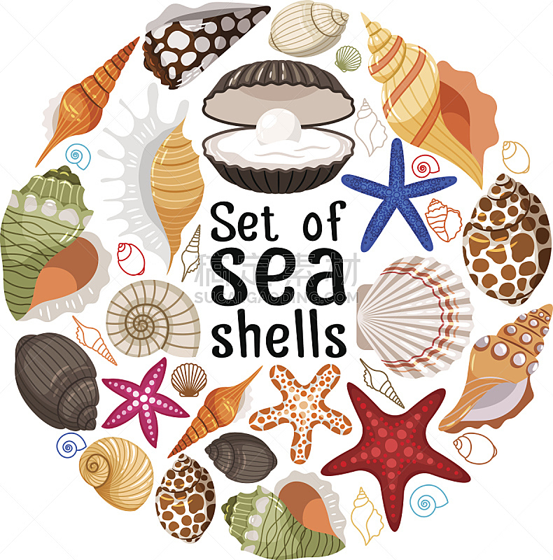 证章,海洋,贝壳,水下,珍珠牡蛎,美术工艺,边框,模板,自然美,想法