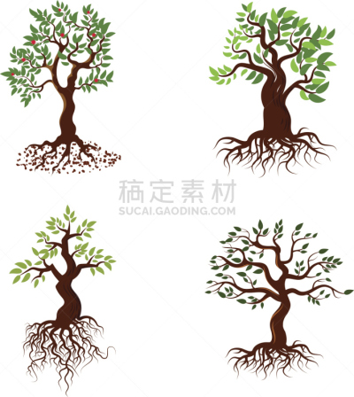 叶子,矢量,绿色,根部,图表设计师,垂直画幅,绘画插图,符号,艺术品,夏天