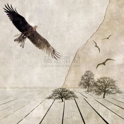 地形,鸟类,超现实主义,一群鸟,天空,衰老过程,古老的,古典式,图像,过时的