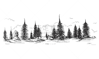 个性,地形,椰子林,小树林,雕刻术,雕刻图像,钢笔和麦克笔画,雪松,速写本,布置