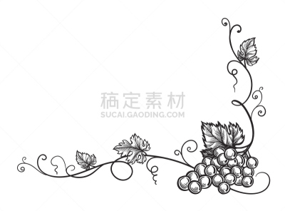 草图,单色调,葡萄,葡萄收获,钢笔和麦克笔画,四元素,农业,菜单,背景分离,果汁