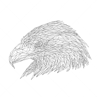 绘画插图,低多边形效果 ,矢量,式样,三角形,动物,鹰,鸟类,狗狗障碍赛,动物学