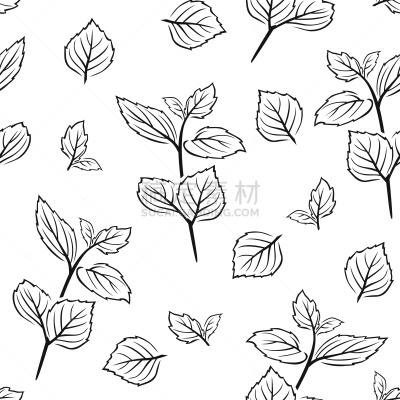 薄荷叶,矢量,胡椒薄荷,叶子,绘画插图,植物学,四方连续纹样,简单,背景,轮廓