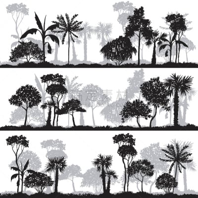 矢量,棕榈树,地形,小树林,环保人士,铅笔画,异国情调,植物园,农业,背景分离