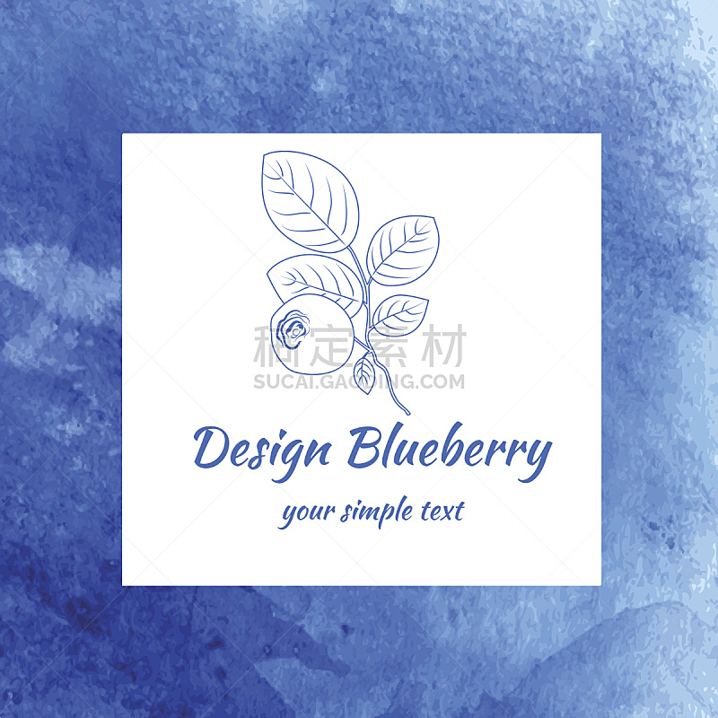 标签,蓝莓,矢量,有机食品,浆果,纹理,食品,自然,设计,包装