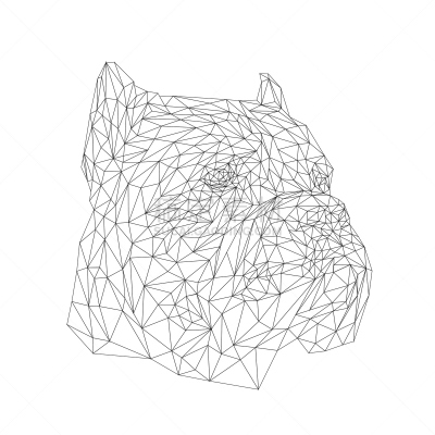 绘画插图,低多边形效果 ,矢量,式样,三角形,动物,舞杖,狗狗障碍赛,动物学,艺术