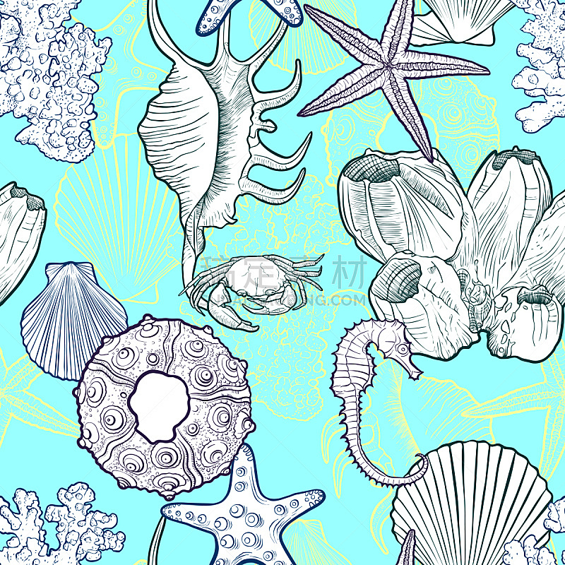 贝壳,矢量,四方连续纹样,绘画插图,蛤,水下,海产,夏天,异国情调,白色