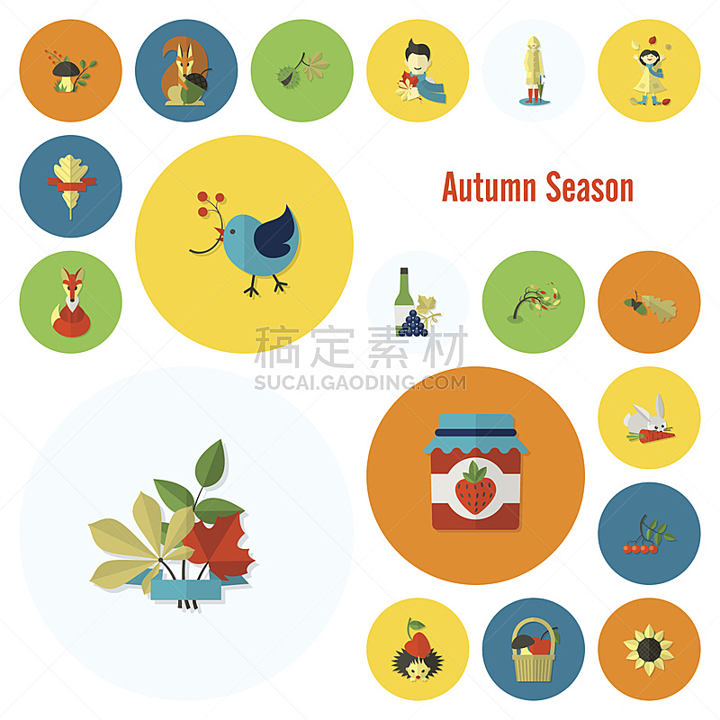 秋天,平坦的,符号,刺猬,橡树果,兔子,葡萄酒,枝繁叶茂,绘画插图,南瓜