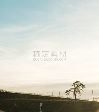 一只动物,平衡折角灯,公路,国际著名景点,瑞典,卡车,汽车,交通箭头标志,交通堵塞