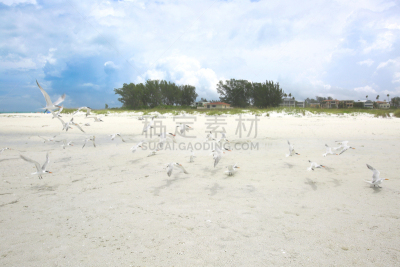 安娜玛利亚岛,佛罗里达,水,天空,沙子,夏天,滨水,白色,海滩,热带气候