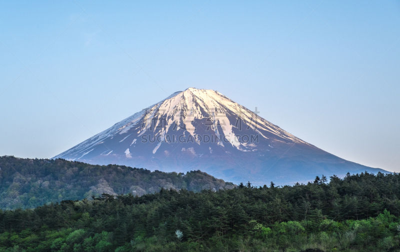 湖,富士山,背景,天空,日本,saiko lake,风景,蓝色,山,五只动物