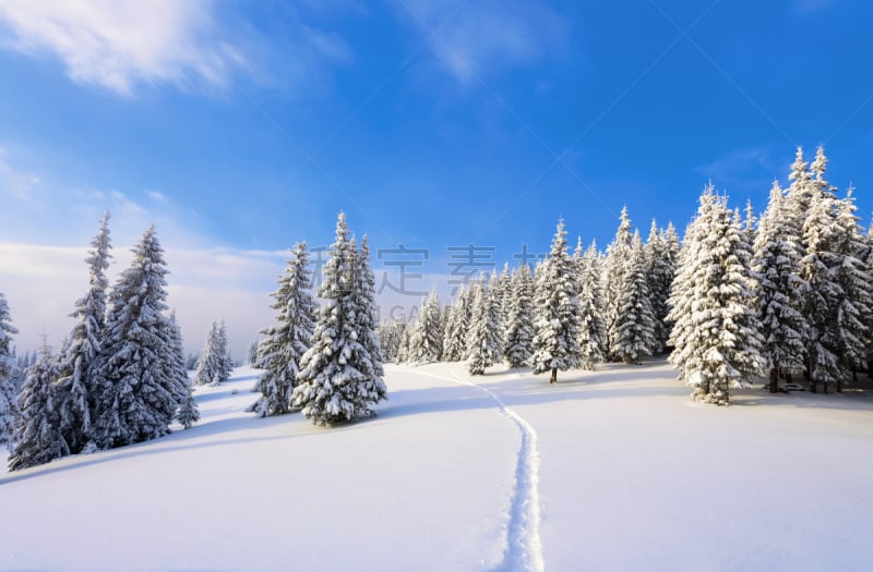 雪,冬天,地形,霜,宏伟,小路,时间,自然美,有包装的,冒险