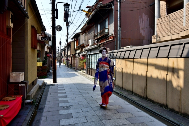 A Japanese woman in Maiko’s costume and hairstyle is walking on the street of Miyakawa-cho, Gion, Kyoto. She wears traditional long-sleeved kimono with long dangling sash and her hair is elaborately decorated with seasonal flower-featured hairpins.