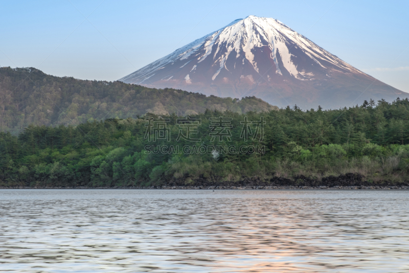 背景,日本,山,富士山,湖,saiko lake,五只动物,山景城,一只动物,地形