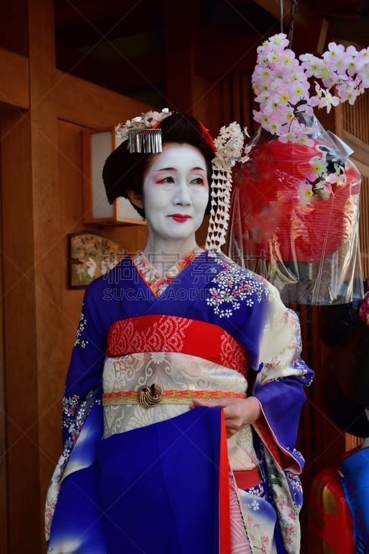 A Japanese woman in Maiko’s costume and hairstyle is walking on the street of Miyakawa-cho, Gion, Kyoto. She wears traditional long-sleeved kimono with long dangling sash and her hair is elaborately decorated with seasonal flower-featured hairpins.