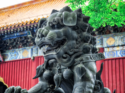 建筑,中国,北京,雍和宫,孔子,哲学家,地形,户外,华丽的,远古的
