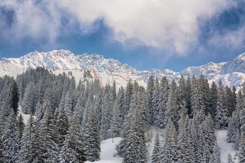 居住区,滑雪雪橇,寒冷,运动,云,霜,雪,瑞士阿尔卑斯山,伦策海德,杉树