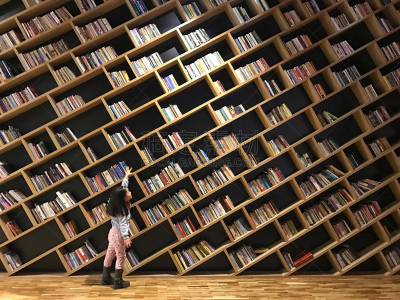 图书馆,女孩,字母,女强人,一个人,技术,书店,仅儿童,儿童