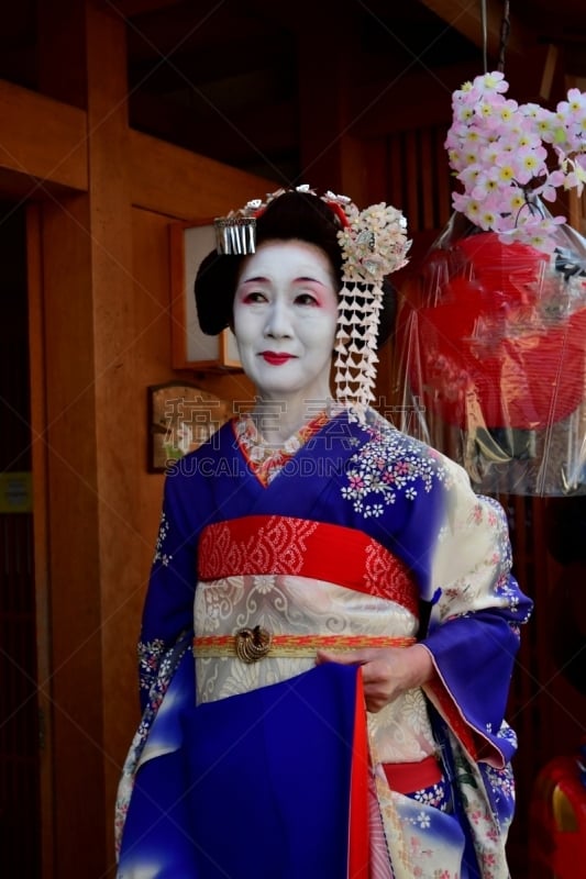 A Japanese woman in Maiko’s costume and hairstyle is walking on the street of Miyakawa-cho, Gion, Kyoto. She wears traditional long-sleeved kimono with long dangling sash and her hair is elaborately decorated with seasonal flower-featured hairpins.