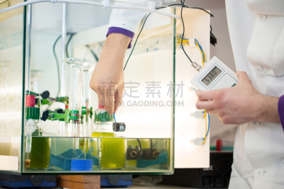 科学实验,实验室,科学家,绿藻,浓烟,能源,轻的,化学家,生物质,仅成年人