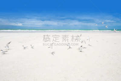 安娜玛利亚岛,佛罗里达,水,天空,沙子,沙洲,夏天,滨水,白色,海滩