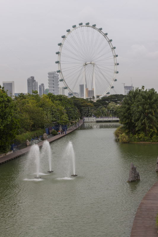 新加坡市,全景,垂直画幅,水,新加坡,无人,户外,棕榈树,滨水,都市风景