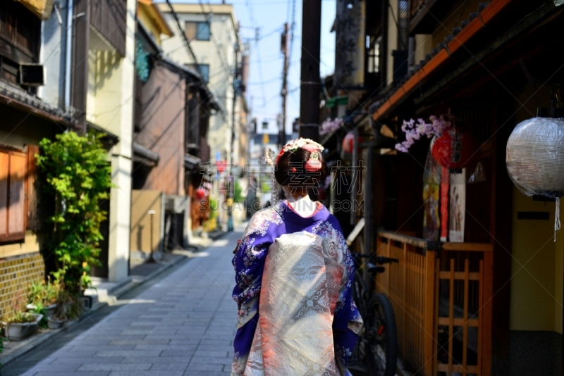 A Japanese woman in Maiko’s costume and hairstyle is walking on the street of Miyakawa-cho, Gion, Kyoto. She wears traditional long-sleeved kimono with long dangling sash and her hair is elaborately decorated with seasonal flower-featured hairpins.