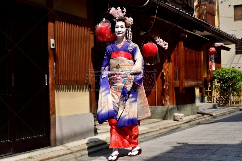 A Japanese woman in Maiko’s costume and hairstyle is walking on the street of Miyakawa-cho, Gion, Kyoto. She wears traditional long-sleeved kimono with long dangling sash and her hair is elaborately decorated with seasonal flower-featured hairpins.