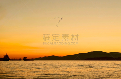 天空,金色,一群鸟,大不列颠哥伦比亚,加拿大黑雁,温哥华岛,货物集装箱,帆船,飞,日落