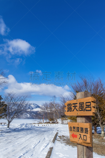 日本,北海道,屈斜路湖,热,雪山,野生动物,云,雪,天鹅,水面