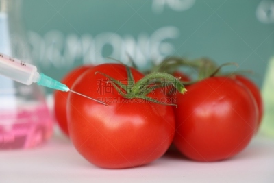 转基因,西红柿,注射器,蔬菜,横截面,健康保健,清新,一个物体,生物科技,科学实验