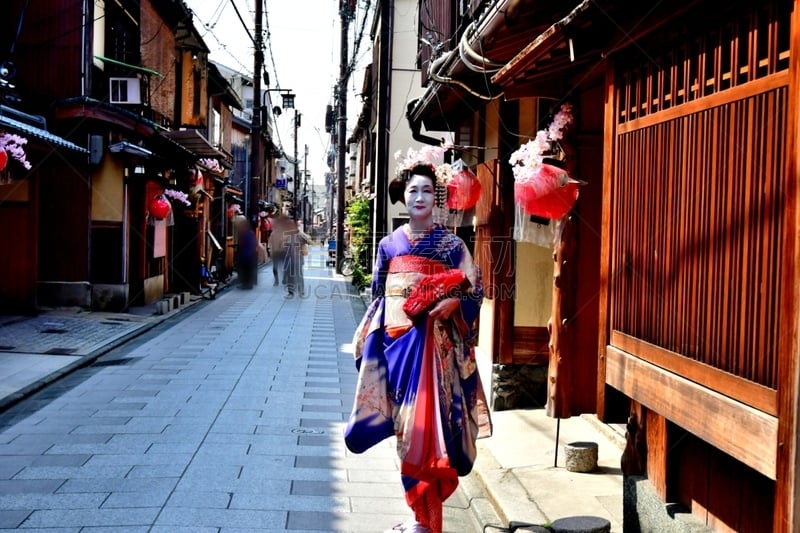 A Japanese woman in Maiko’s costume and hairstyle is walking on the street of Miyakawa-cho, Gion, Kyoto. She wears traditional long-sleeved kimono with long dangling sash and her hair is elaborately decorated with seasonal flower-featured hairpins.