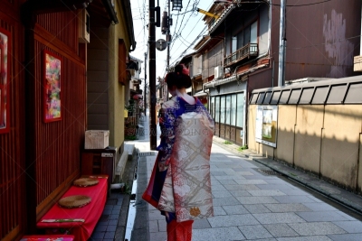 A Japanese woman in Maiko’s costume and hairstyle is walking on the street of Miyakawa-cho, Gion, Kyoto. She wears traditional long-sleeved kimono with long dangling sash and her hair is elaborately decorated with seasonal flower-featured hairpins.