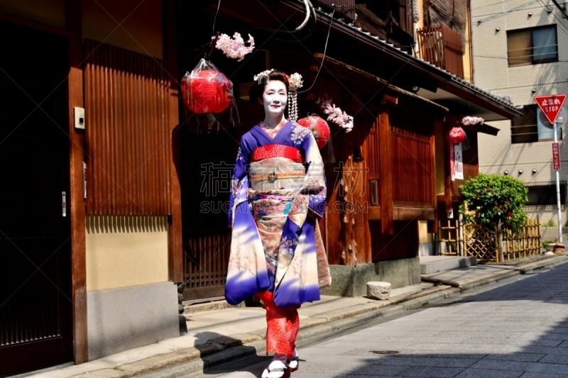 A Japanese woman in Maiko’s costume and hairstyle is walking on the street of Miyakawa-cho, Gion, Kyoto. She wears traditional long-sleeved kimono with long dangling sash and her hair is elaborately decorated with seasonal flower-featured hairpins.