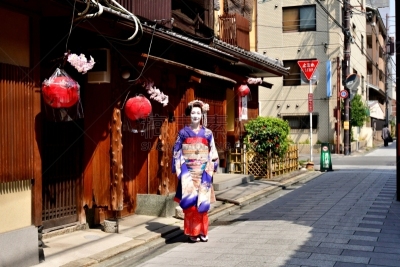 A Japanese woman in Maiko’s costume and hairstyle is walking on the street of Miyakawa-cho, Gion, Kyoto. She wears traditional long-sleeved kimono with long dangling sash and her hair is elaborately decorated with seasonal flower-featured hairpins.