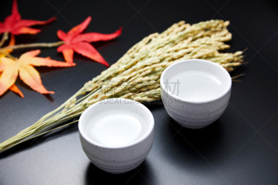 日本青酒,特写,饮料,含酒精饮料,热,枡,稻,枫叶,冷酒,影棚拍摄
