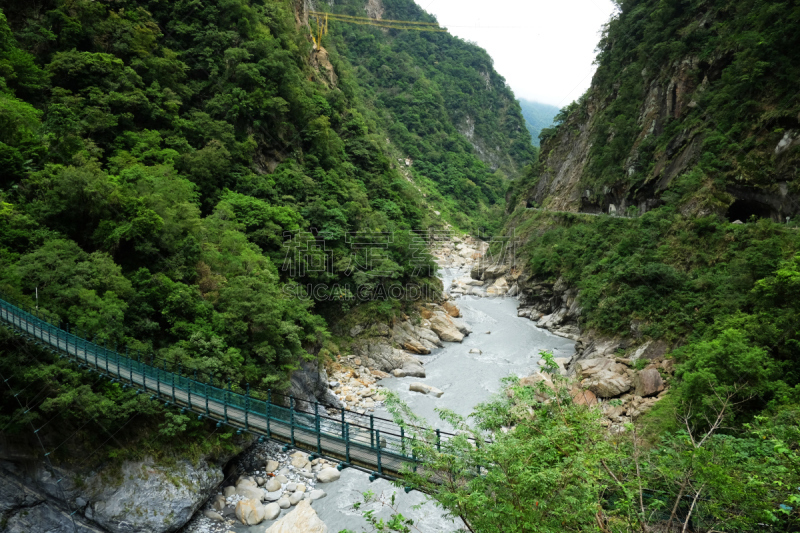花莲,风景,绿色,地形,太鲁阁,太鲁阁公园,索桥,水,天空,美
