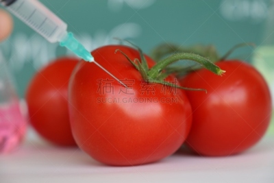 转基因,西红柿,注射器,蔬菜,横截面,健康保健,清新,一个物体,生物科技,科学实验