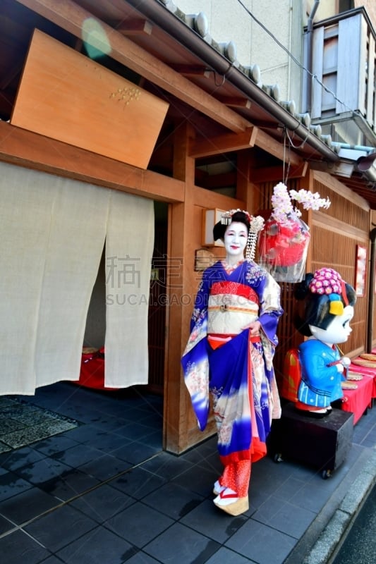 A Japanese woman in Maiko’s costume and hairstyle is walking on the street of Miyakawa-cho, Gion, Kyoto. She wears traditional long-sleeved kimono with long dangling sash and her hair is elaborately decorated with seasonal flower-featured hairpins.