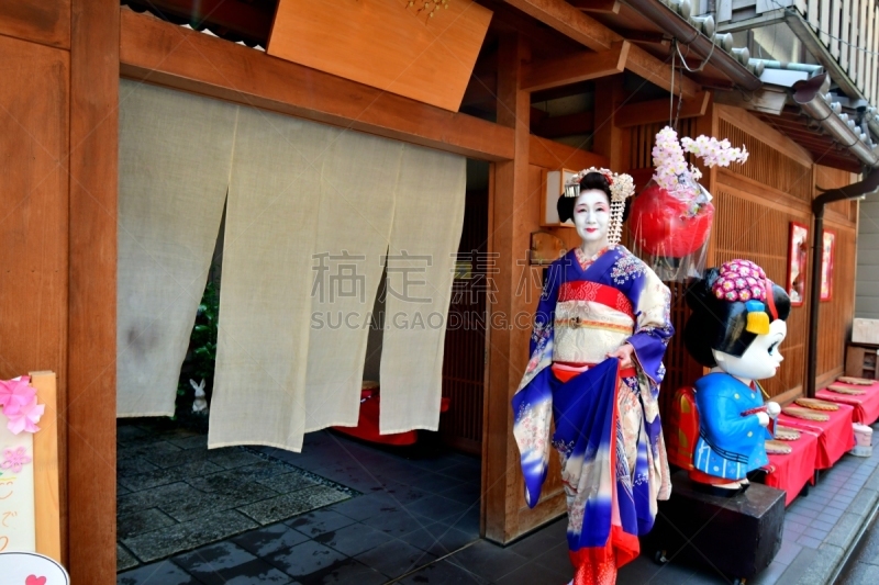 A Japanese woman in Maiko’s costume and hairstyle is standing in front of a Geisha House, in Miyakawa-cho, Gion, Kyoto. She wears traditional long-sleeved kimono with long dangling sash and her hair is elaborately decorated with seasonal flower-featured h